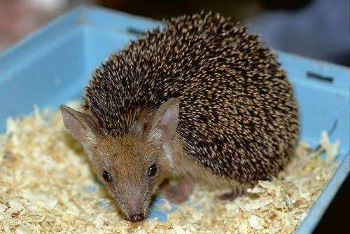 仲良くなると嫌われる