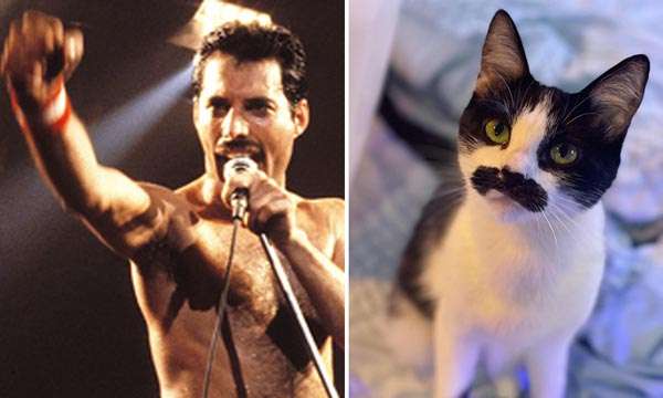 来世はいらない人