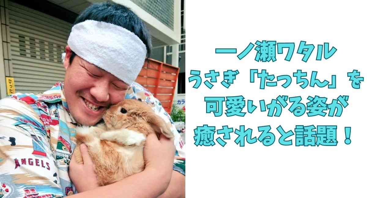 うさぎ飼ってる人！