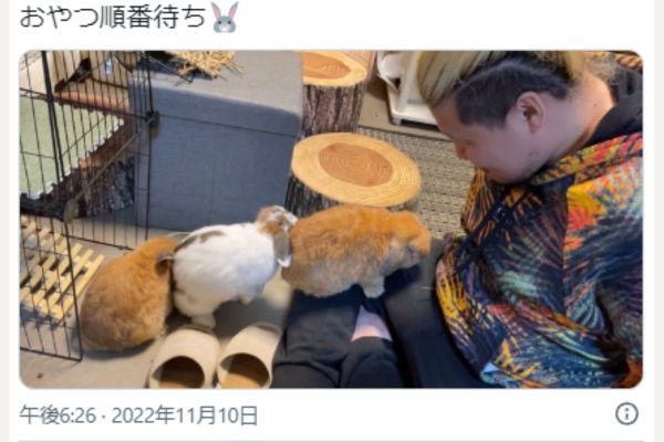 うさぎ飼ってる人！