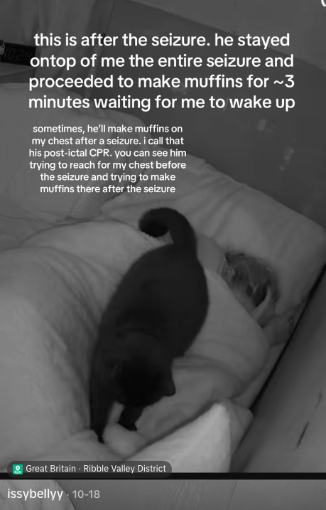 飼い主が寝ている間に発作を予知した猫。一晩中寄り添い「ふみふみ」で安心させる