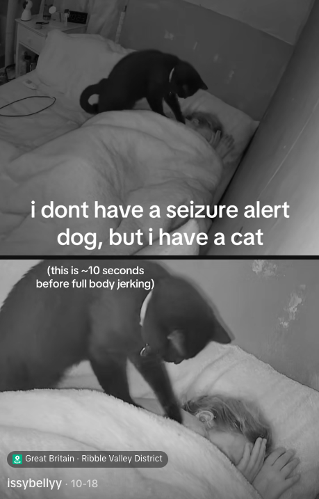 飼い主が寝ている間に発作を予知した猫。一晩中寄り添い「ふみふみ」で安心させる