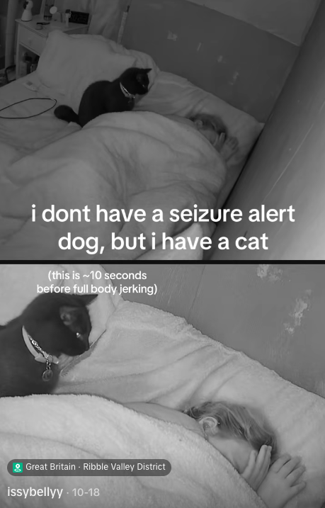 飼い主が寝ている間に発作を予知した猫。一晩中寄り添い「ふみふみ」で安心させる