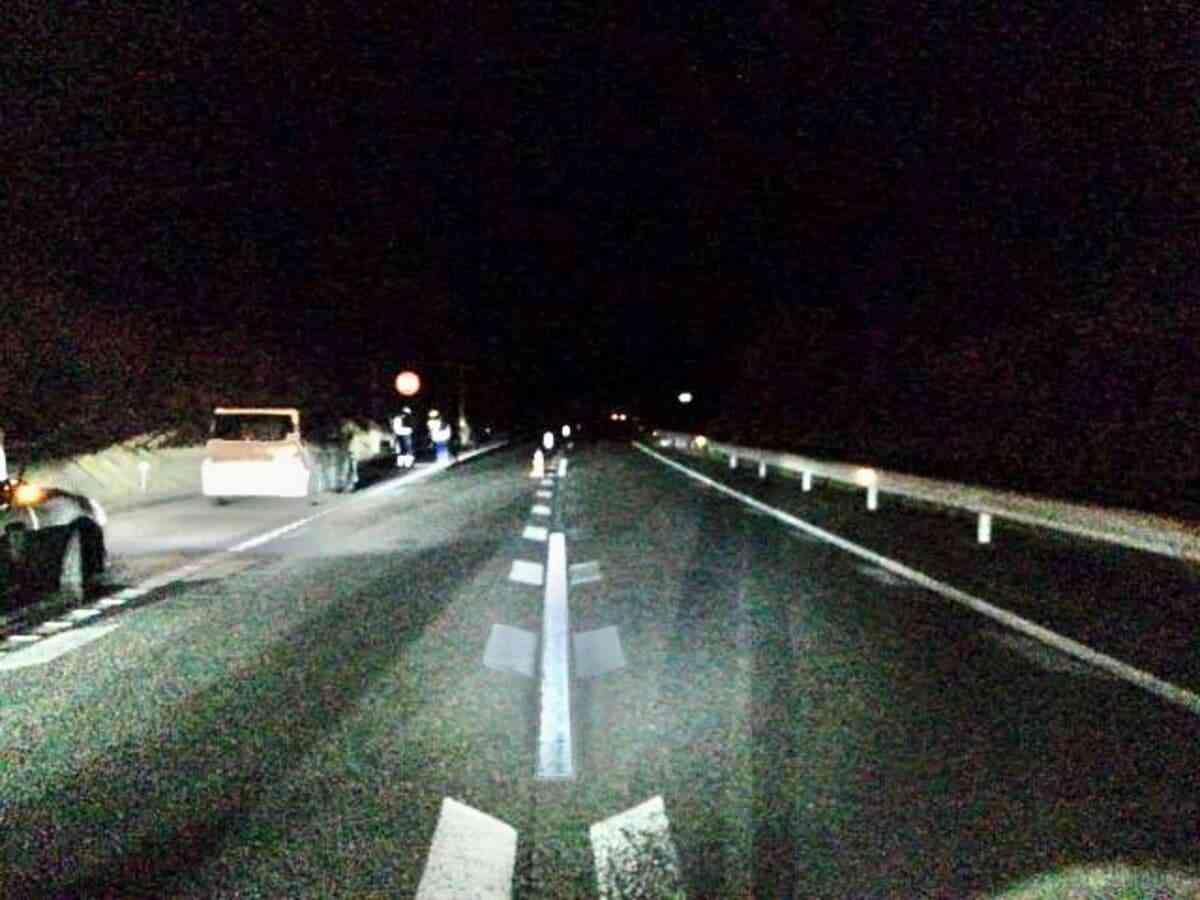 高速道路を歩いていた男性（24）大型トラックにはねられ死亡、運転手「路肩の車から降りてきた男性をはねた」非常駐車帯に車を止めていたか【高知】 | TBS NEWS DIG (1ページ)