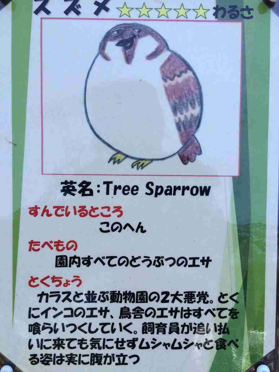 【すずめ】雀が好きな人！【スズメ】