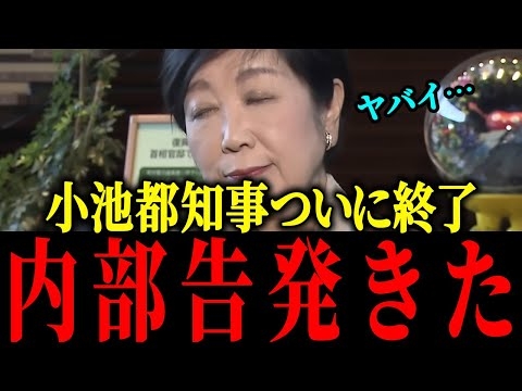【さとうさおり】※小池百合子不正をバラされ、終了…【佐藤沙織里 消費税 東京都議会本会議】