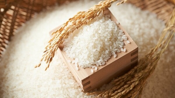 コメ価格「今より下がる」先安感　向こう3カ月の価格見通す指数「32」で3カ月連続ダウン　新米流通で在庫水準が回復｜FNNプライムオンライン