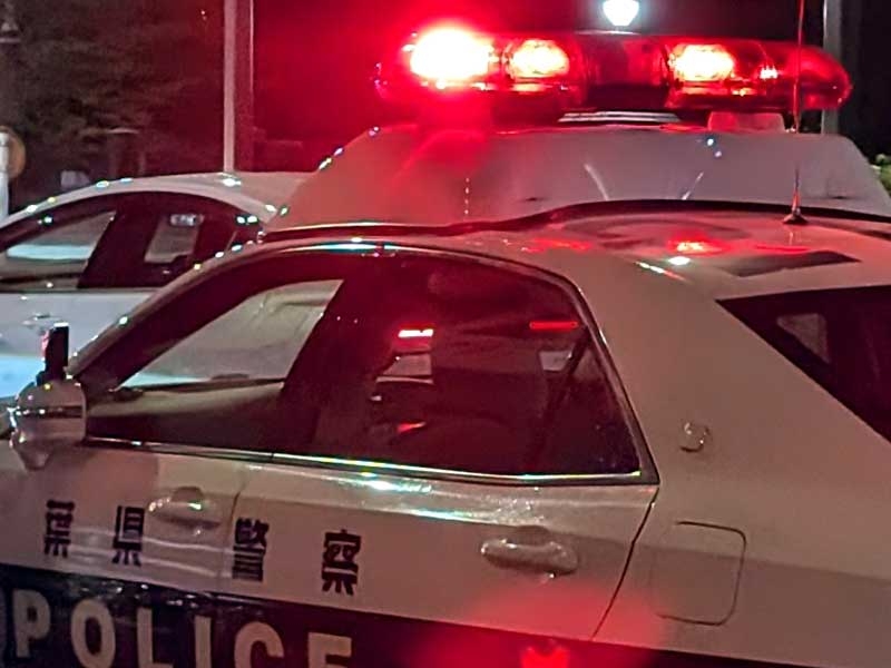 【速報】ディズニーシーホテルに男乱入、刃物のような物を見せ逃走か　けが人確認されず　浦安 | 千葉日報オンライン