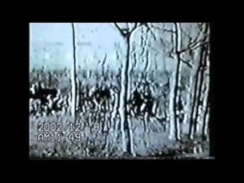 南京日本兵の証言 パート1