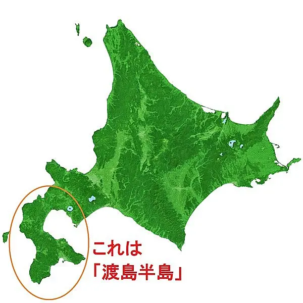 北海道観光の思い出