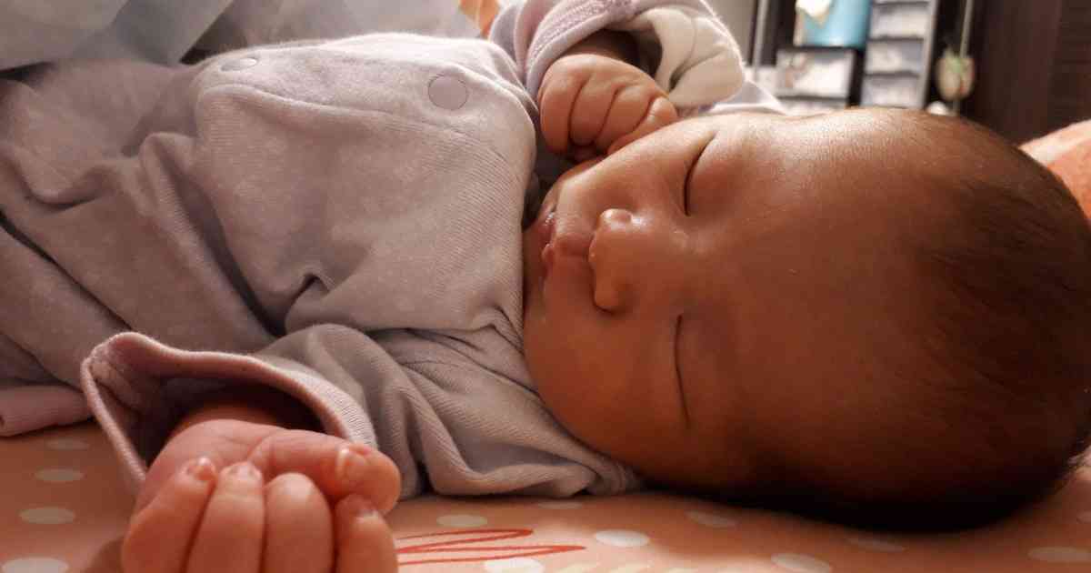 青年団・平田オリザが父親に、子供の名前は「全然普通になりませんでした」 - ステージナタリー