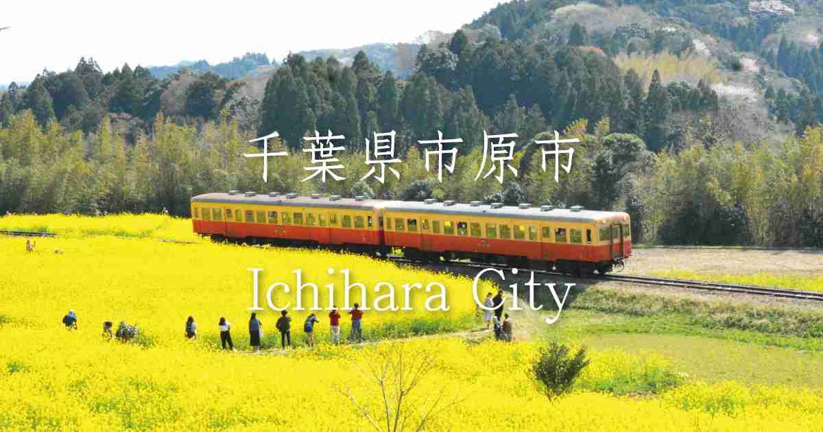 市原市ウェブサイト