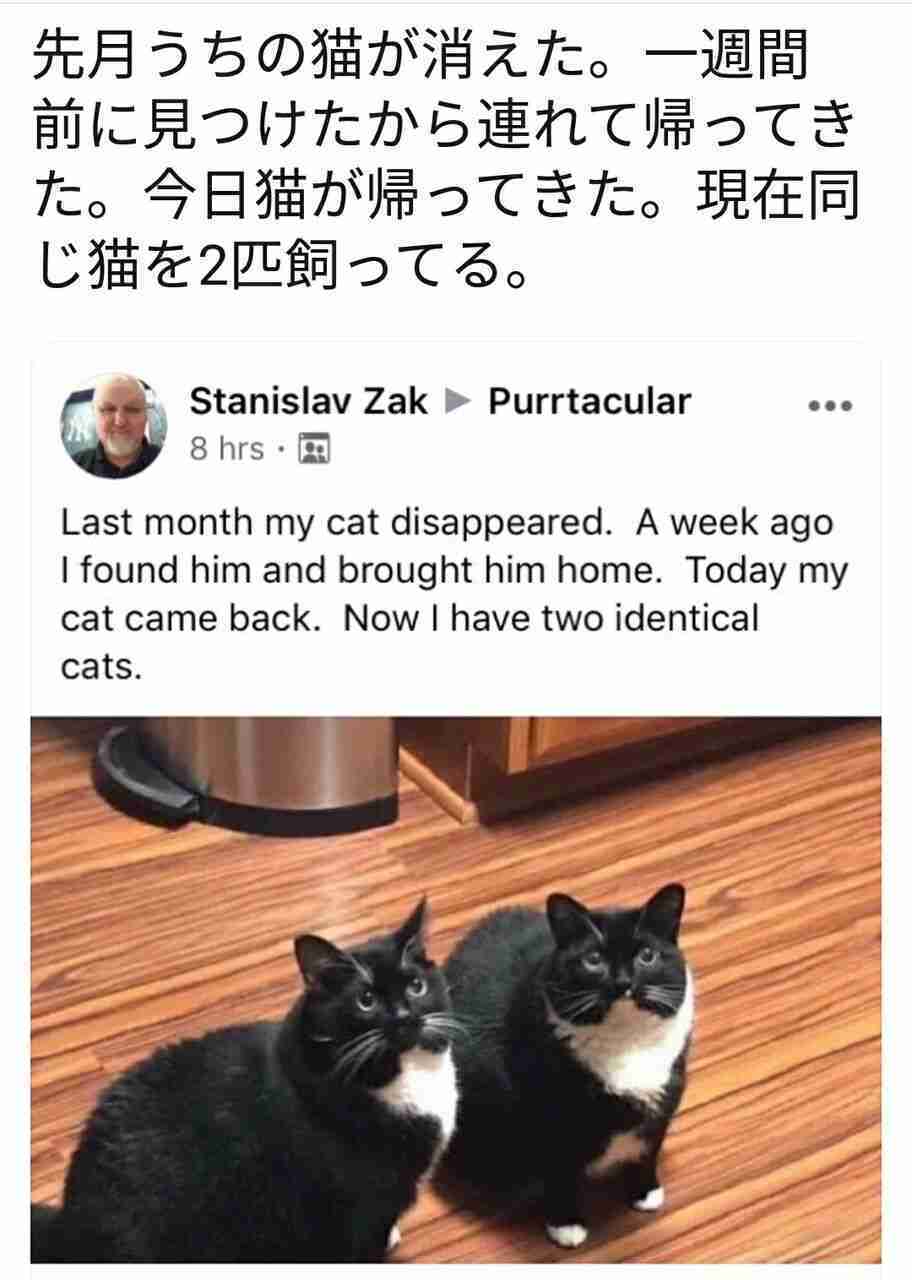 寝る前にクスッとする画像part8