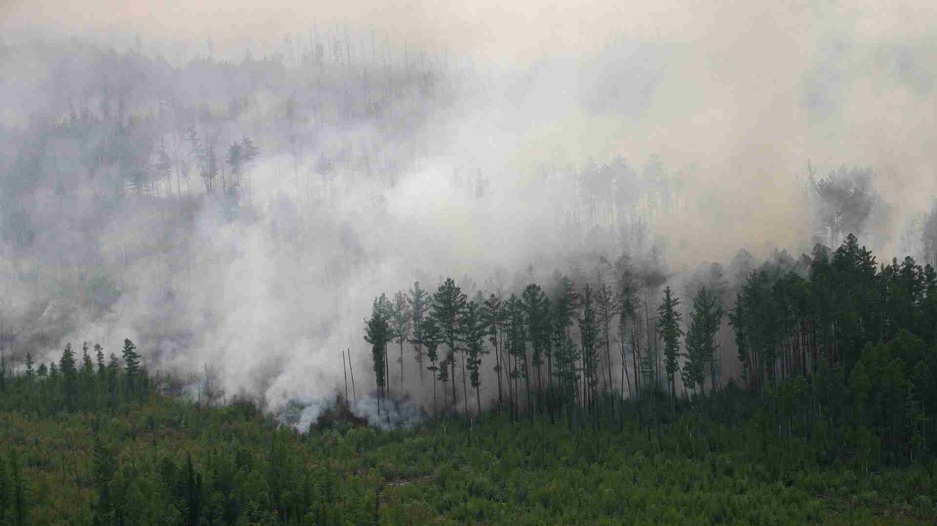 シベリア森林火災の煙が北海道へ飛来（竹村俊彦） - エキスパート - Yahoo!ニュース