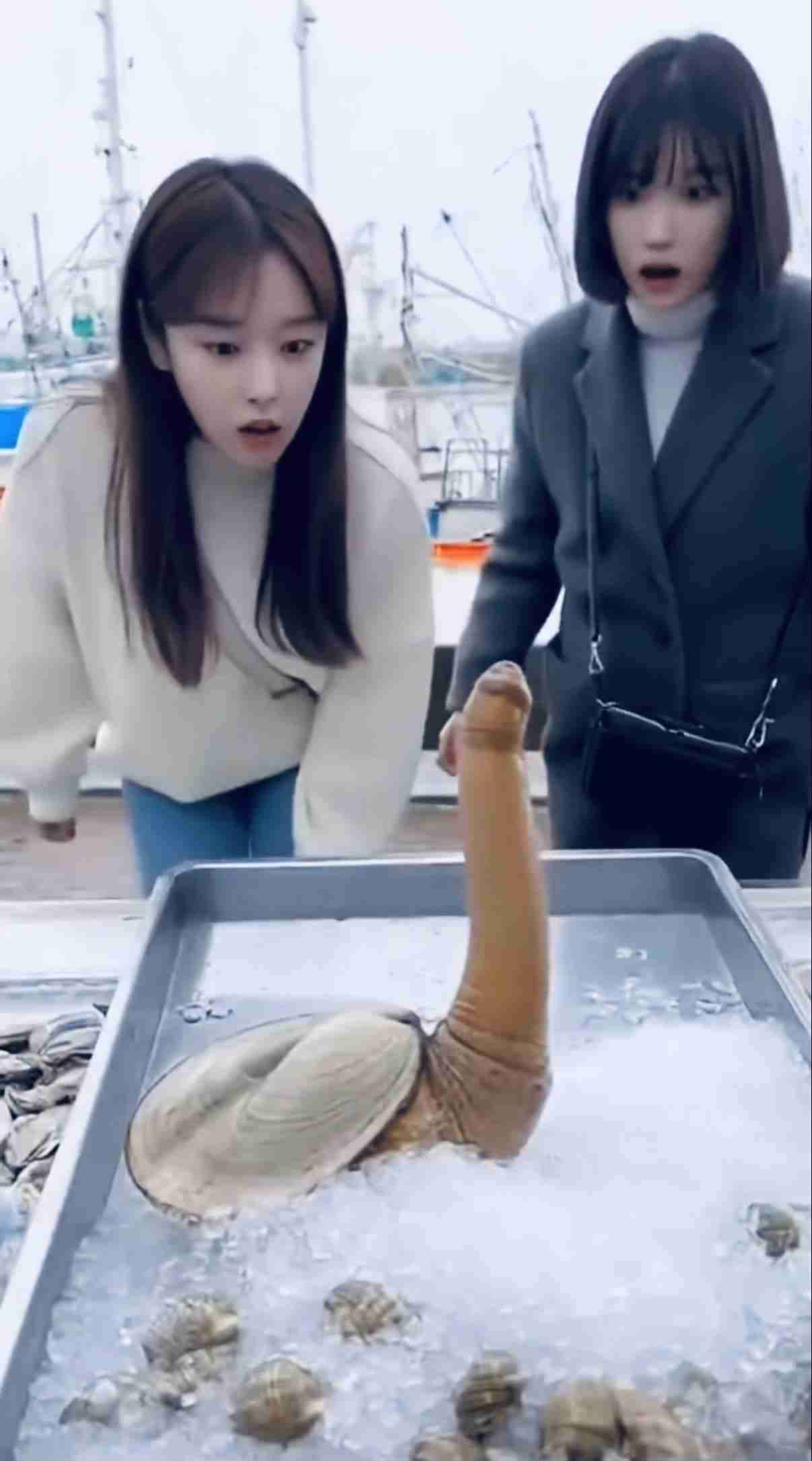 【微アダルト】エロくないのに、見える人にはそう見えちゃう画像part3