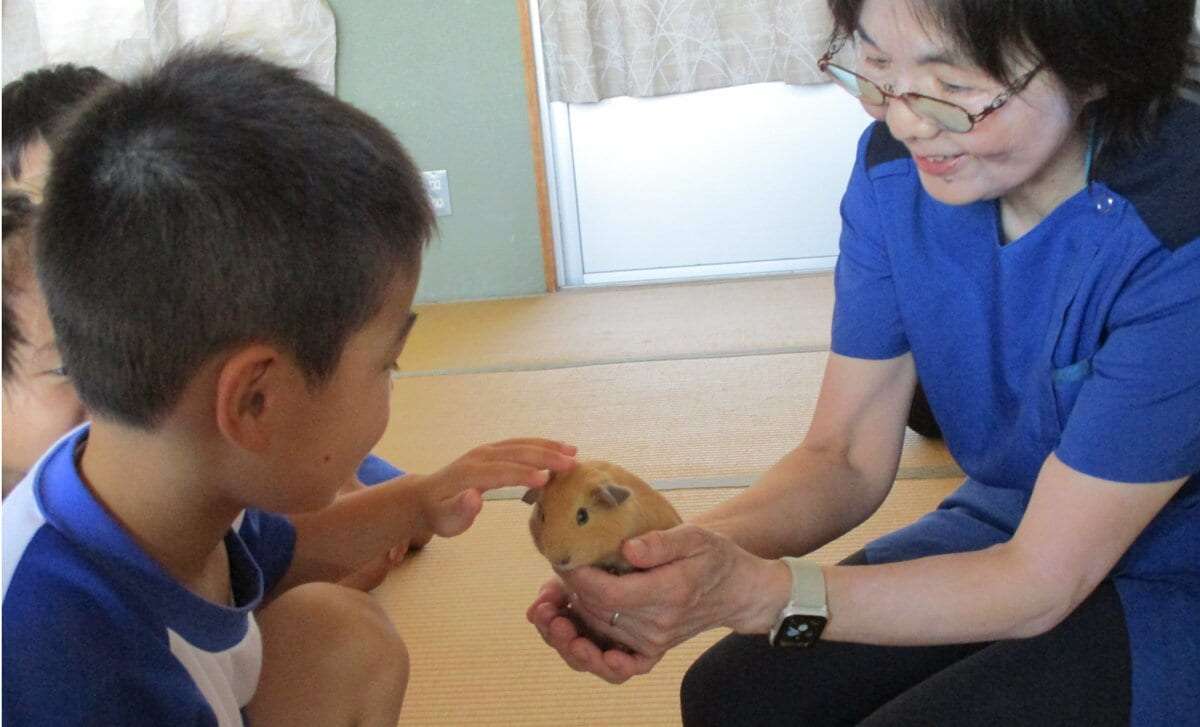 学校から“ウサギ”が消えたのは、なぜ？　動物飼育が半減した「切実な理由」とは | AERA with Kids＋