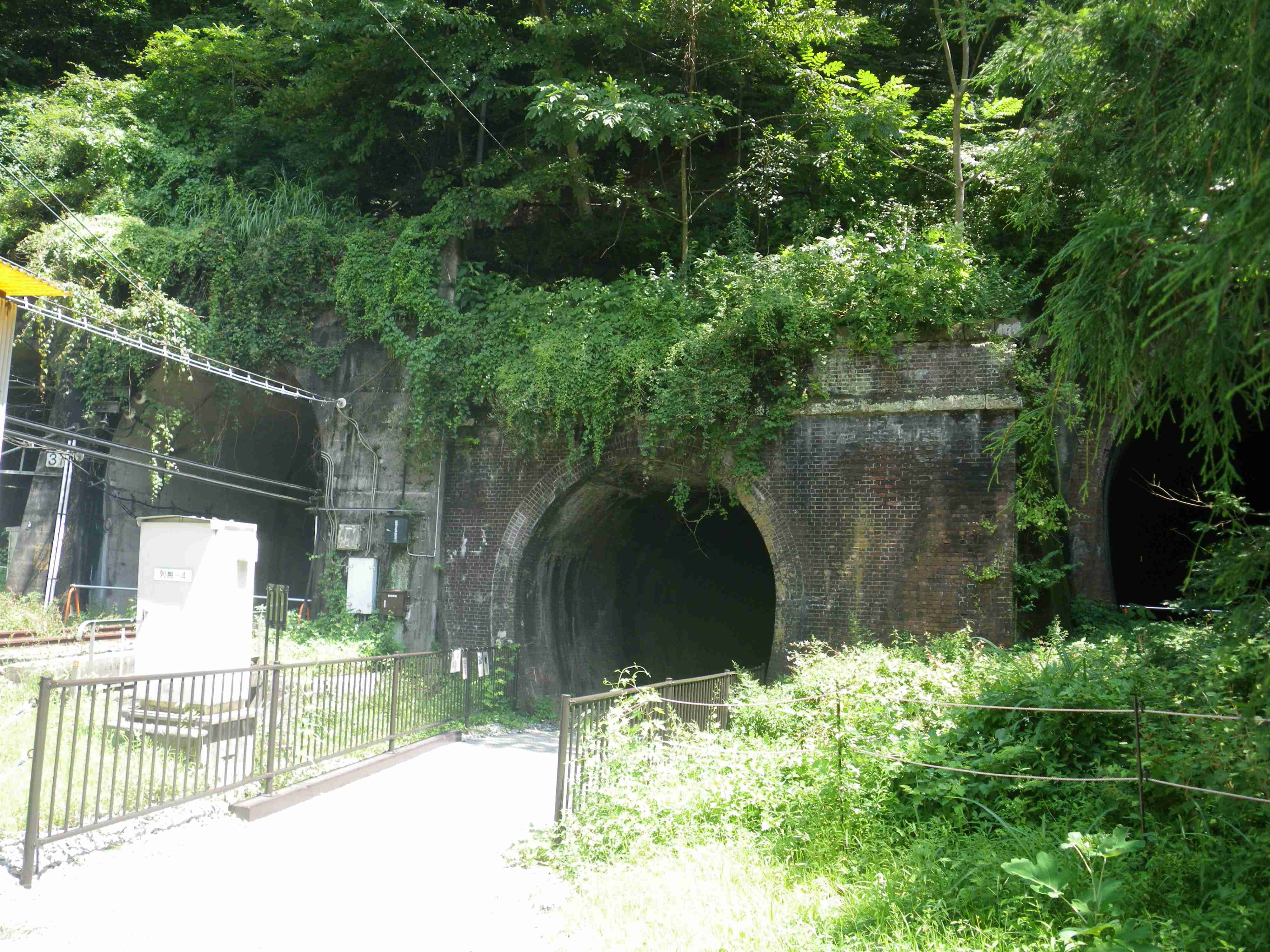 人生のレールを外れた人、こっち側で待ってるぜ | 【新館】生き物好き気象予報士＆理科教員、公認心理師・金子大輔（金兵衛）のブログ～通り雨の旅路～