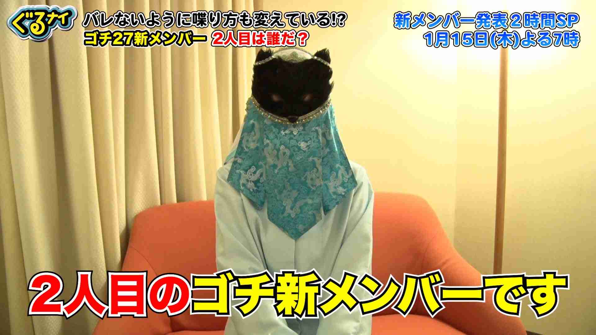 「ぐるナイ」ゴチ、新メンバー2人のヒント動画公開 ギリギリ一問一答も