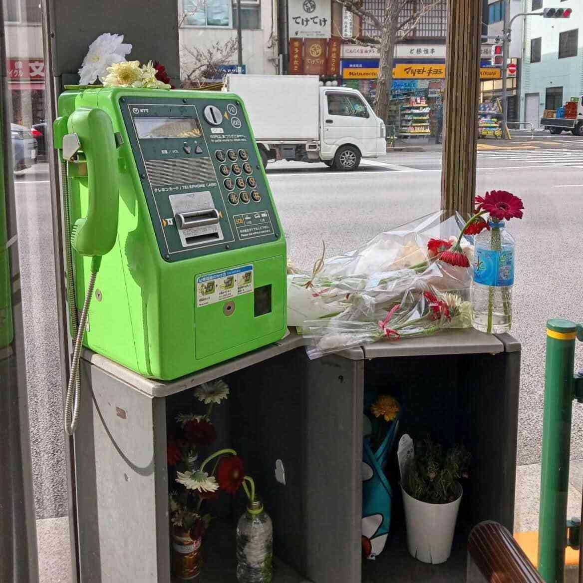 公衆電話に大量ガーベラ、「チェンソーマン」余波か　NTT東日本は胸中複雑「配慮」求める