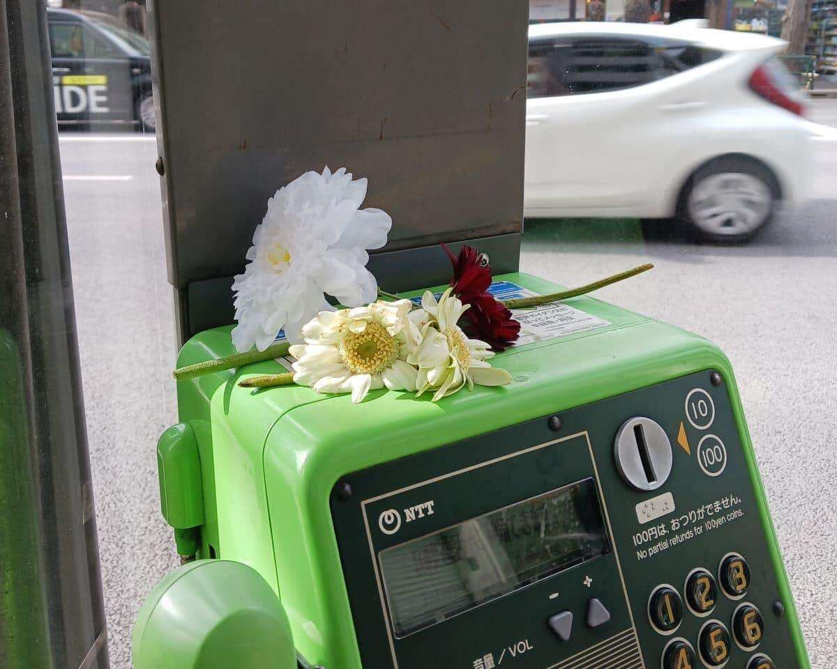 公衆電話に大量ガーベラ、「チェンソーマン」余波か　NTT東日本は胸中複雑「配慮」求める: J-CAST ニュース