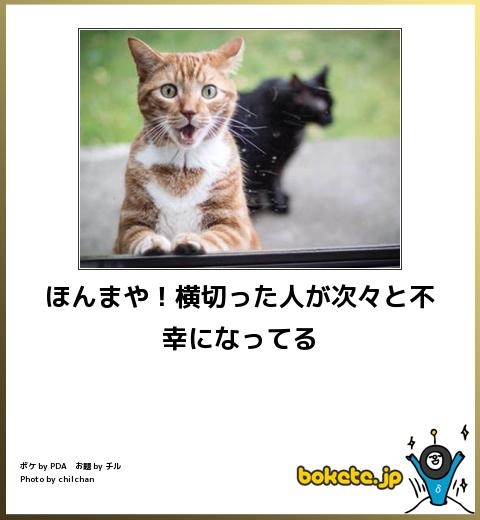 何度見ても秀逸だと思う「bokete」を貼っていくトピPart15