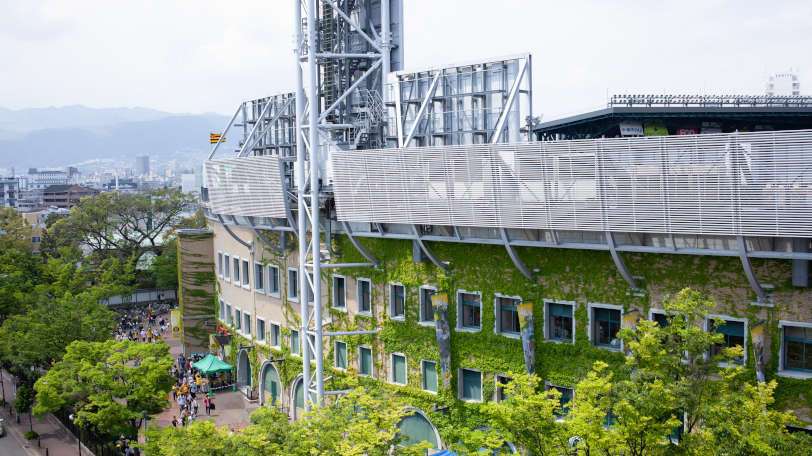 東洋大姫路が「夏の東洋」と呼ばれる理由、兵庫県高校野球界に伝わる格言｜【SPAIA】スパイア