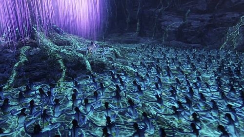体の動きがシンクロ！“日光浴ポーズ”するワオキツネザルに「お手々広げて温める面積を増やしていて可愛い」など反響