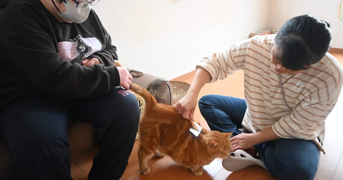 「ごみ屋敷に猫の死骸」高齢者ペット飼育崩壊の現実、支える活動広まるも…資金と人材の壁 - 産経ニュース