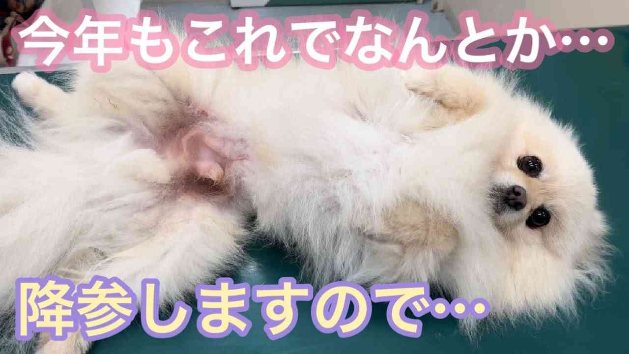 寝る前にクスッとする画像part8