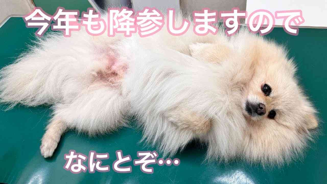 寝る前にクスッとする画像part8
