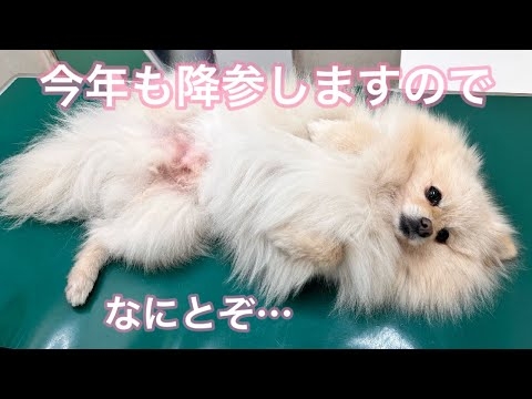 今年もなんとかこれで、注射をまぬがれたい…！