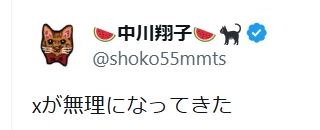 91万フォロワーの女性タレント、未明の「Ｘが無理になってきた」つぶやきに心配の声 - 芸能 : 日刊スポーツ