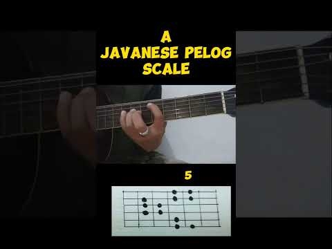 A Javanese Pelog Scale Guitar#shortsfeed#shortvideo