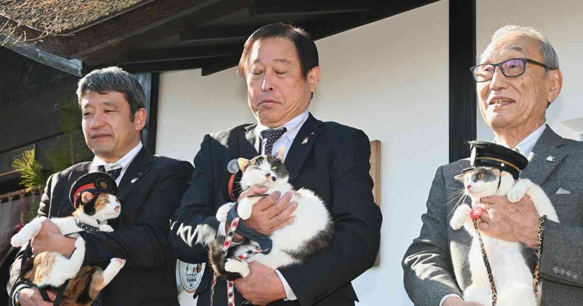 3代目の三毛猫駅長デビュー　旅立った「ニタマ」の後任　和歌山 | 毎日新聞