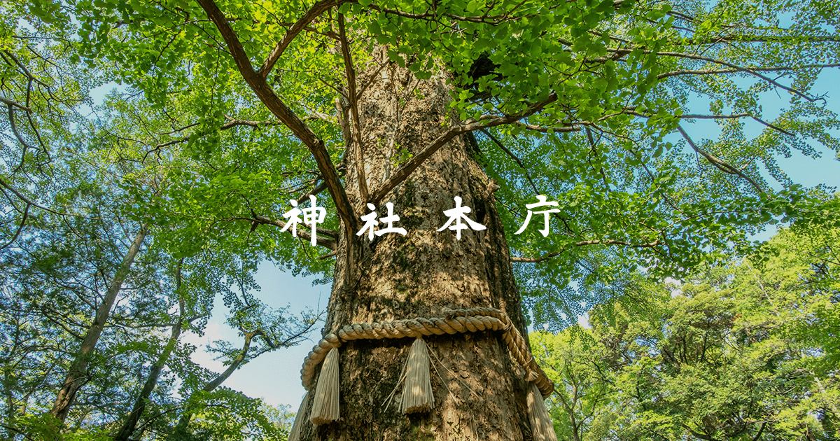 参道について | おまいりする | 神社本庁公式サイト