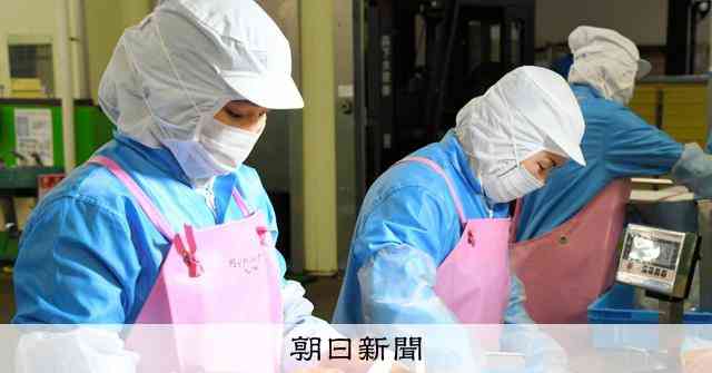 123万人の外国人労働者を受け入れ　育成就労と特定技能で上限案：朝日新聞