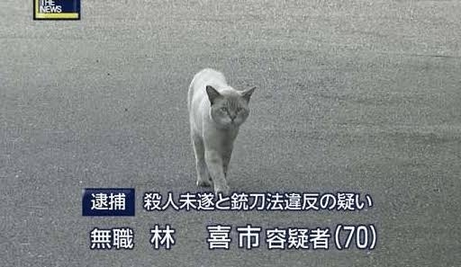 何度見ても笑ってしまう好きな写真を貼るトピ