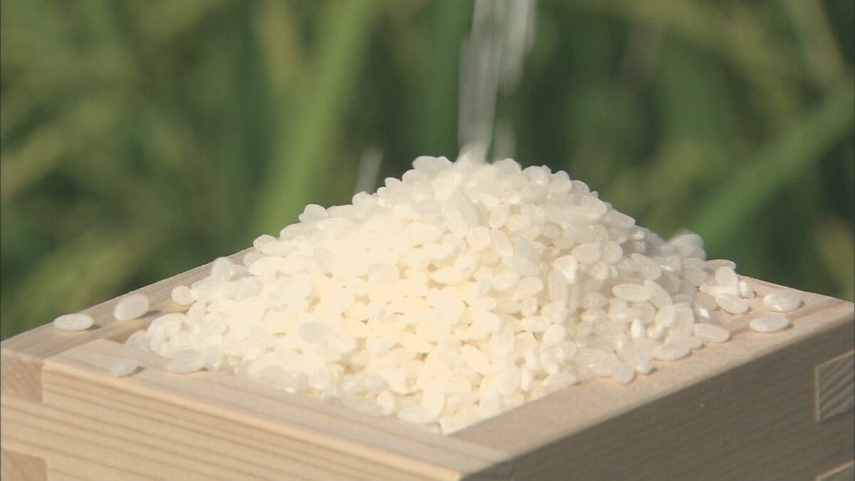 【速報】5キロあたりのコメ平均価格4416円　過去最高をまた更新 | TBS NEWS DIG