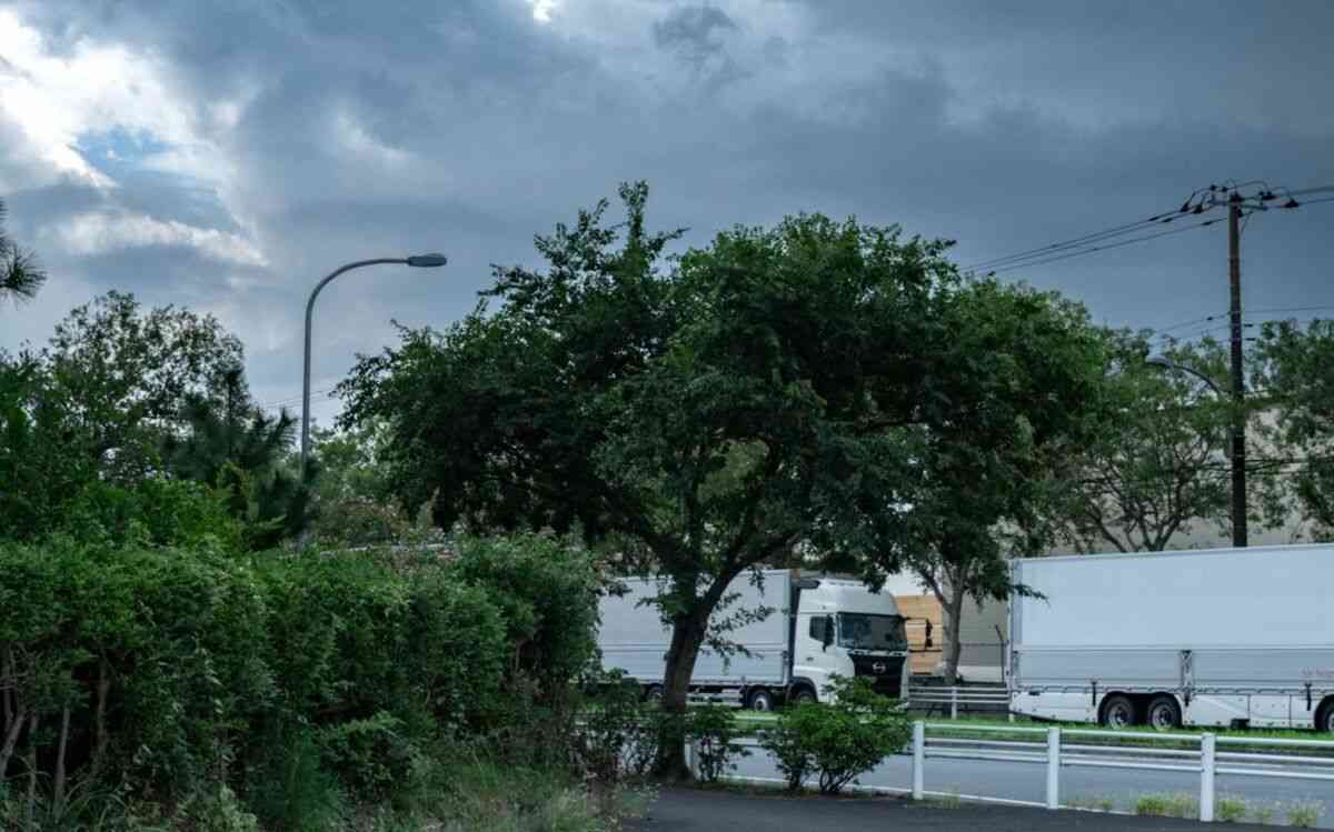 《女子高校生コンクリ事件》「休日に自分の事件のビデオを…」加害少年の母親が明かした、出所後の衝撃的な実態 | 文春オンライン