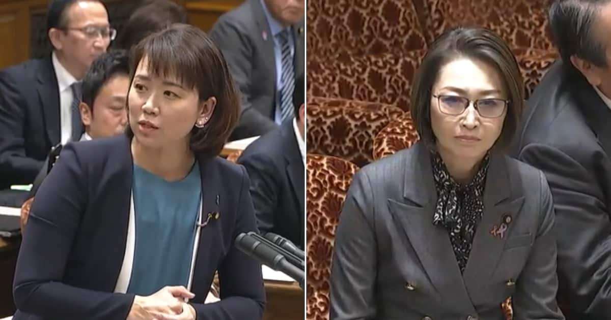 「エロ広告」規制官庁ただす国民・伊藤孝恵氏　たらい回しにされるも、最後に回答引き出す - 産経ニュース