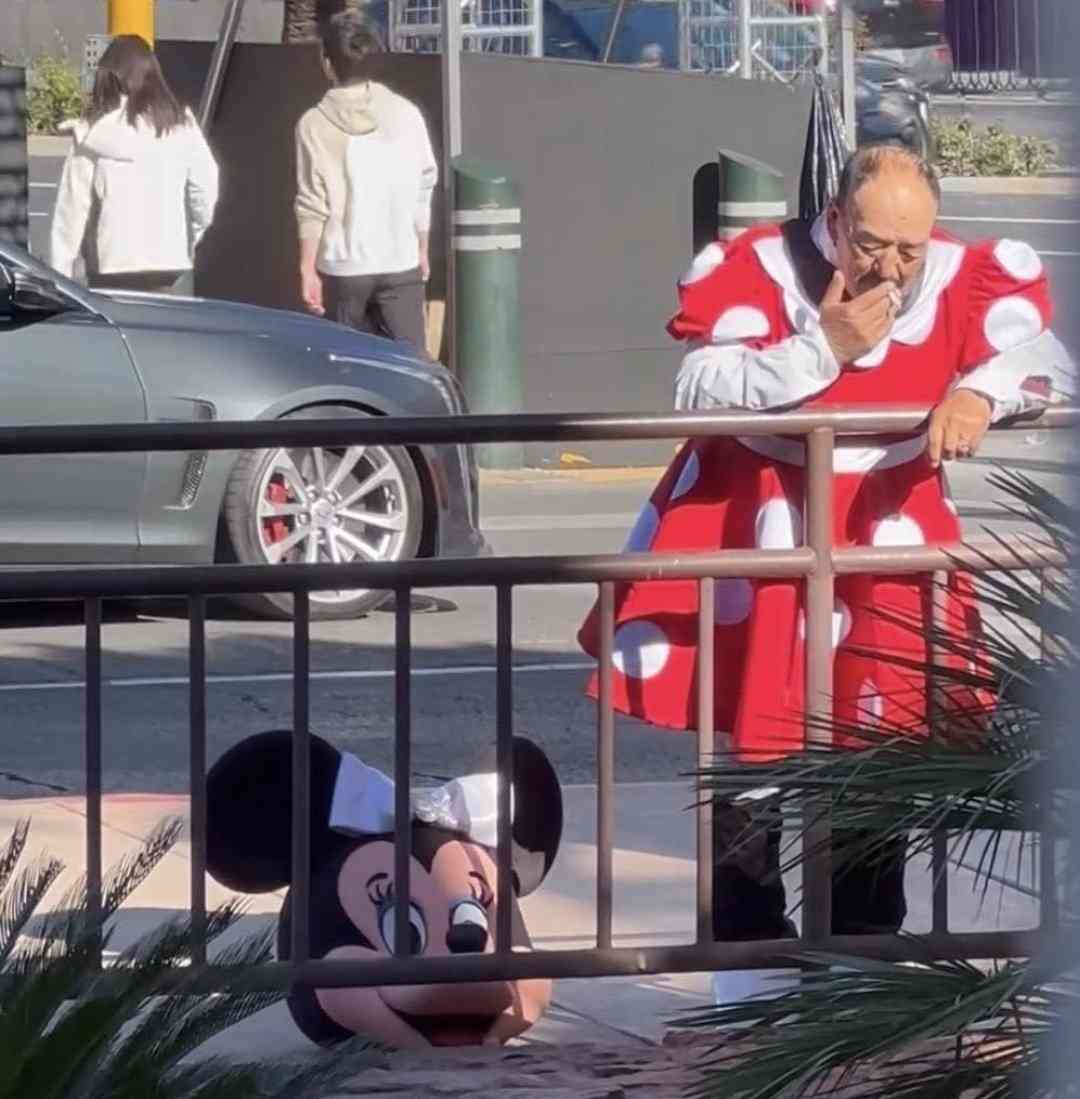 3人に1人が“40歳以上”　「東京ディズニーリゾート」に中高年の来園者が急増しているワケ