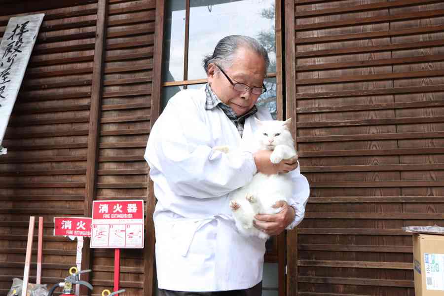 がるちゃん猫カフェ118号店開店しました♪(初めての方も大歓迎♪)