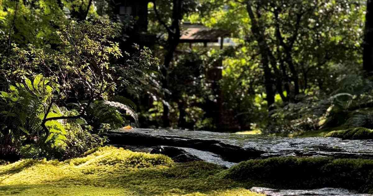「中国の一部になるのに消されるよ」　マナー違反を注意した京都・高台寺岡林院が脅される - 産経ニュース