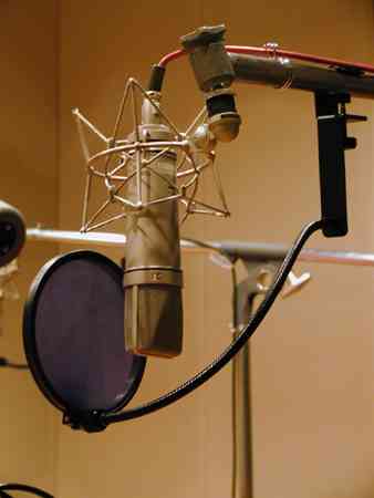声優が人気なくなった理由って何なんやろか？？ - たろそくWP