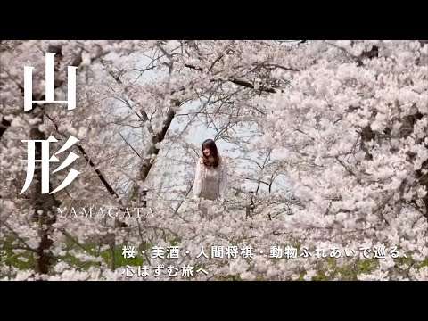 【山形県村山地域の春】桜・美酒・人間将棋・動物ふれあいで巡る、心はずむ旅へ