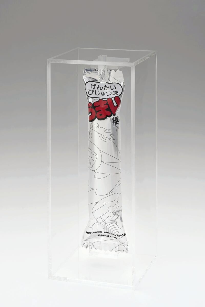 うまい棒「げんだいびじゅつ味」115万円で落札…開封できない鑑賞用の美術品