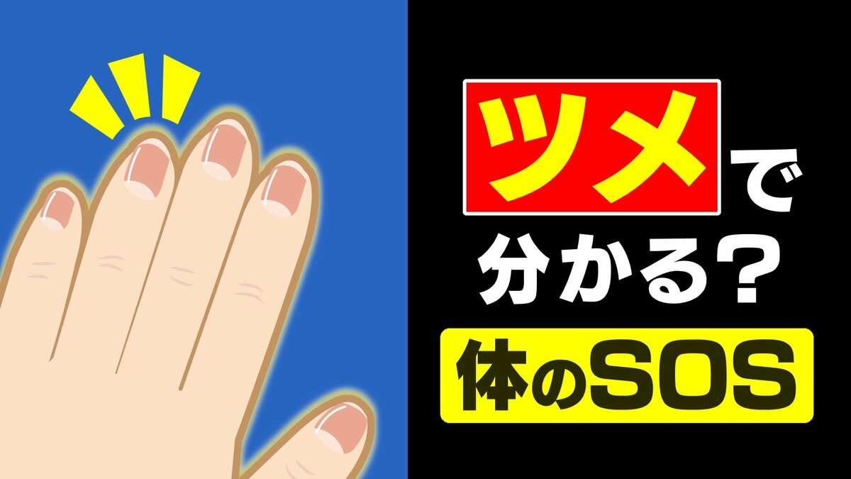 “爪切りの頻度” が減ったら体からのSOS…？ 飲酒や喫煙など生活習慣も原因に　指先の数ミリの成長が示す「体調の履歴書」メカニズムは？ | 富山のニュース｜天気・防災｜チューリップテレビ (1ページ)