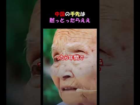 中国の手先は黙っとったらええ