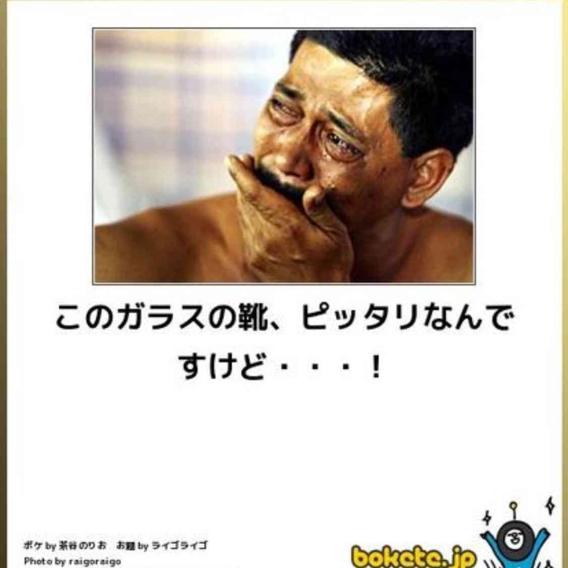 何度見ても笑ってしまう好きな写真を貼るトピ