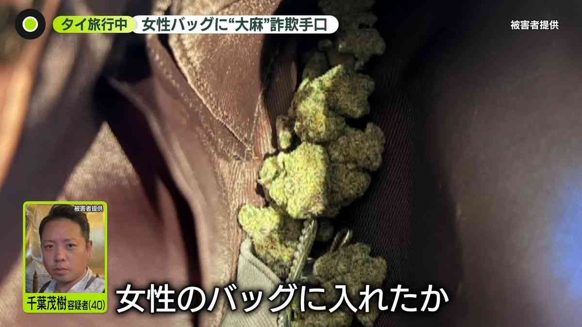 バッグに大麻のような葉「いきなり犯罪者に…」“アプリ交際”女性から約500万円詐取か…その手口